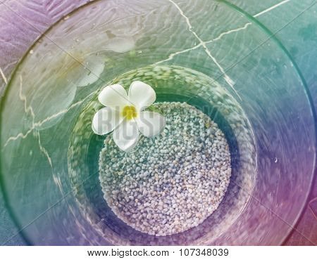 Beautiful white flower plumeria floated on water and pebble in widemouthed glass jar