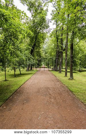 Beautiful Park Path