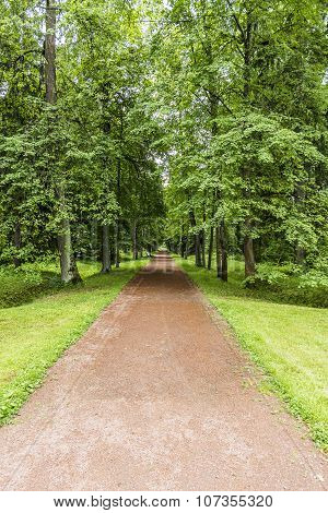 Beautiful Park Path