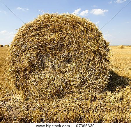 haystacks straw  . summer