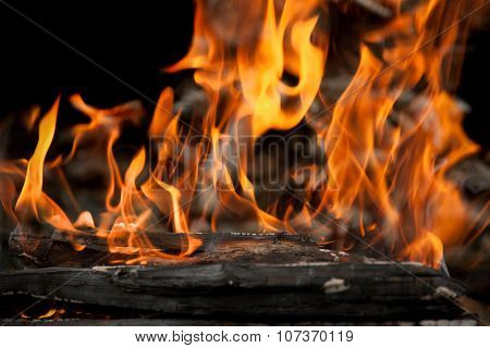 Burning Wood In Fire