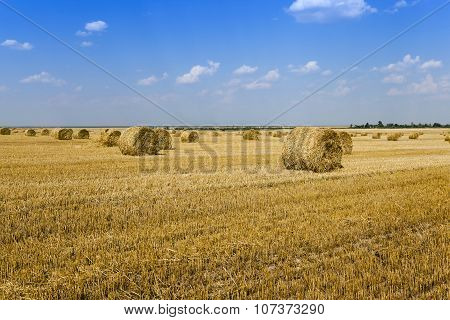 haystacks straw   summer