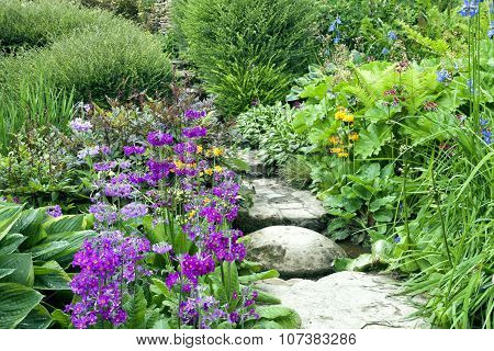 Walkway through cottage flower garden