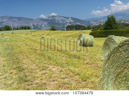 Landscape In Haute Provence