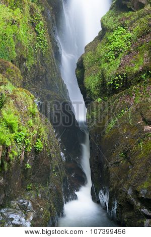 Famous Aira Force Waterfall  In Lake District