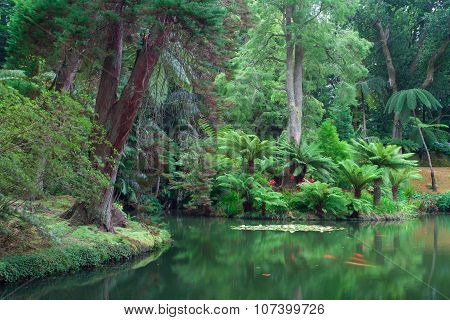 The Terra Nostra Garden On Sao Miguel Island, Azores.