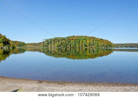 Forest Lake