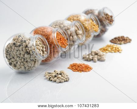 assorted beans arranged in a row