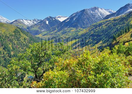 Mt Sopris During Foliage Season In Colorado