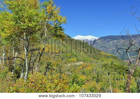 Landscape View Of Snow Covered Mt Sopris In Colorado