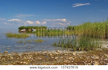 reed islands and boats on Peipsi lake, Estonia