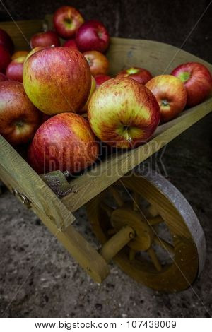 Apples in a wooden wheelbarrow