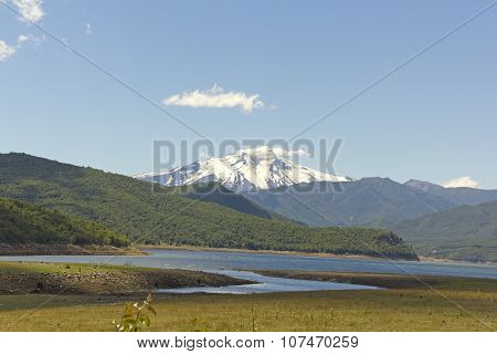 Nalcas National Park, Chile.