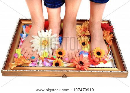 Women Feets And Flowers (pedicure Tbackground)