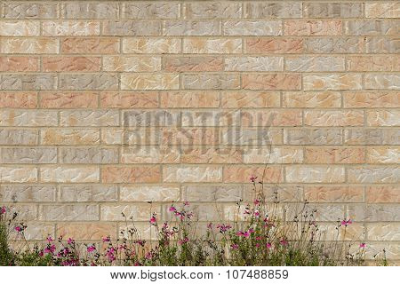 Brick Wall Background