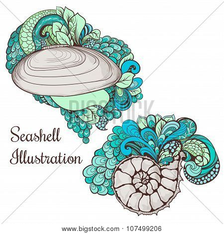 Beautiful seashell sketches for your design