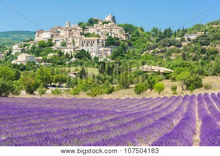 Small but beautiful old town of Simiane la Rotonde with a lavender field in front of it, Provence - France
