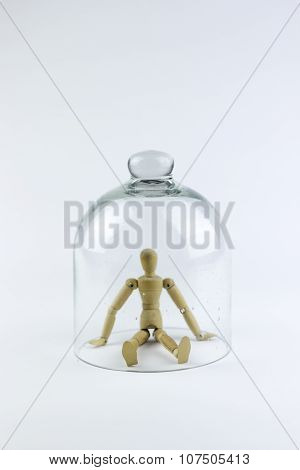 Wooden Puppet In A Glass Bell