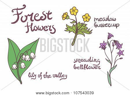 Forest flowers set.