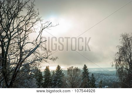 View To Holmenkollen, Oslo Over Trees In Winter