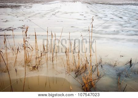Floded Field In Winter
