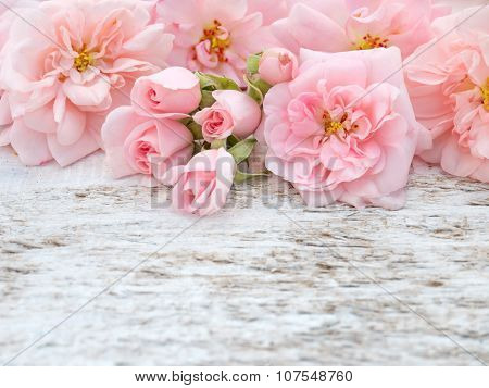 Pink Roses And Buds Bouquet On The Rustic White Painted Background