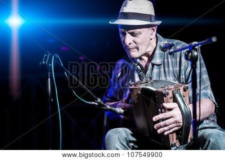 Accordion player popular during a concert of folk music