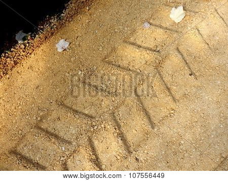 Excavator Caterpillar Track