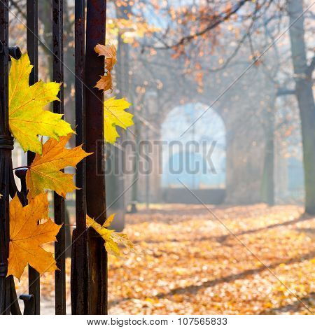 Autumn Colonade With A Gateway