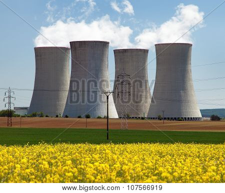 Cooling Tower And Rapeseed Field