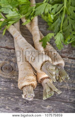 parsnip