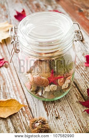 Concept Of Changing Seasons Summer In Jar In Rustic Setting