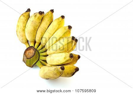 Pisang Awak Banana On White Background