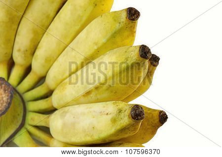Cultivate Banana Isolate White Background