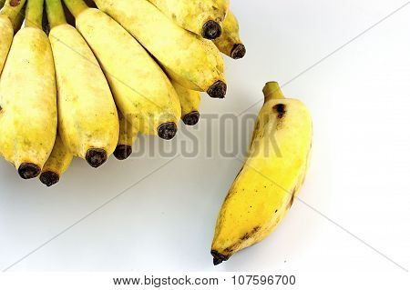 Cultivate Banana On White Background