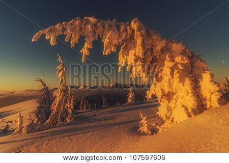 Fantastic orange evening landscape glowing by sunlight. Dramatic wintry scene with snowy trees. Kukul ridge, Carpathians, Ukraine, Europe. Merry Christmas!