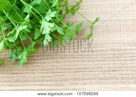 frech green parsley