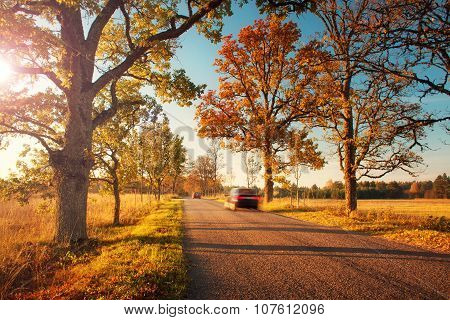 alley in autumn