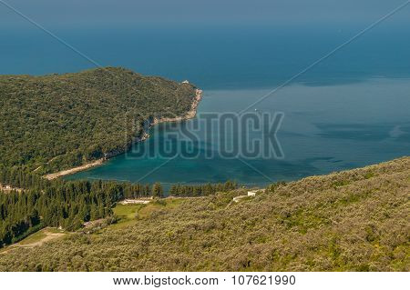 Forest and olive plantation attached to the sea