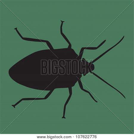 bug