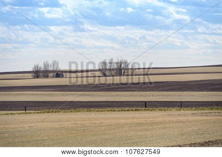 Outdated Barn And Fields