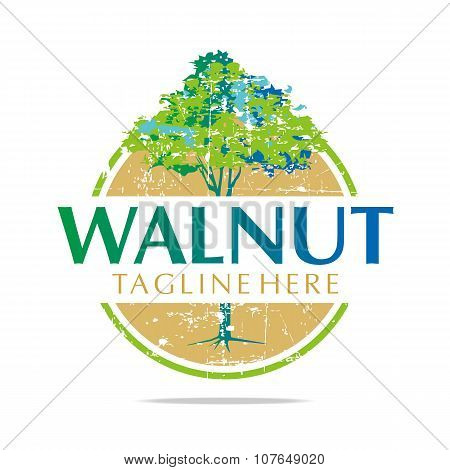 Logo Walnut