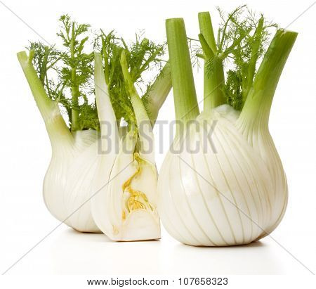 Fresh fennel bulb isolated on white background close up