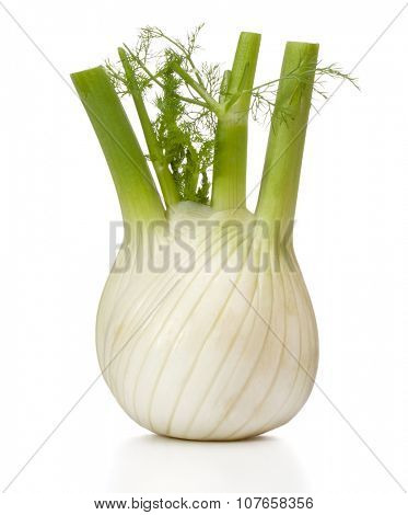 Fresh fennel bulb isolated on white background close up