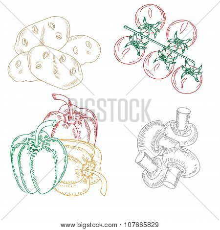 Set Drawn Dudovich Vegetables