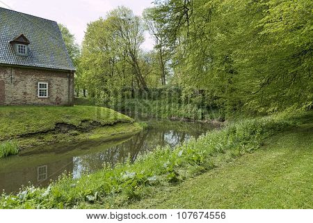 Trees At The Moat