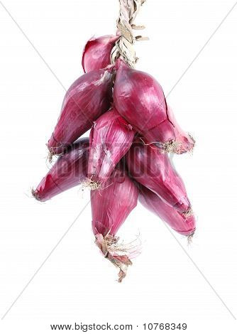 Mazzo di cipolle rosse