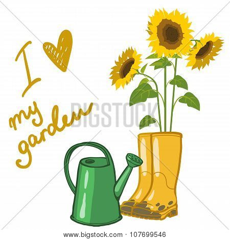 Sunflowers And Garden Rubber Boots And Watering Can Over White, Vector Illustration