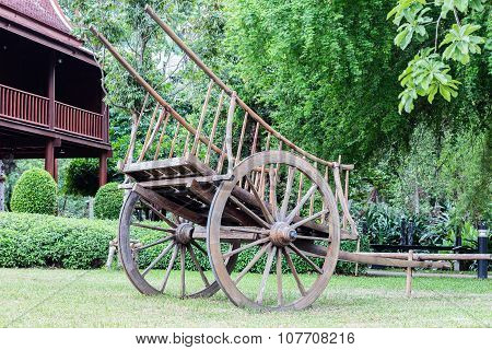 The Buckboard