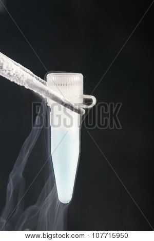 cryotube with cell suspension on liquid nitrogen bank.